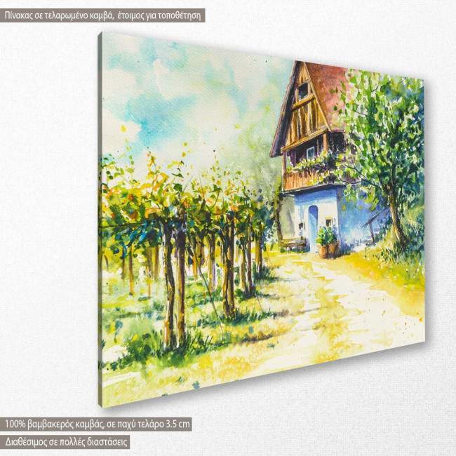 Canvas print Vineyard and cottage house, side
