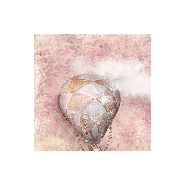 Room divider Hot air fantasy