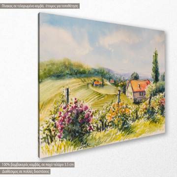 Canvas print  Summer vineyards and rose bushes 2