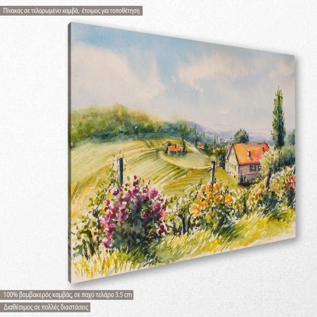 Canvas print  Summer vineyards and rose bushes, side