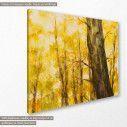 Canvas print Autumn forest, Yellow autumn forest, side