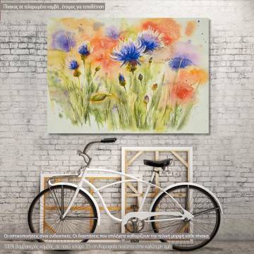 Canvas print Poppy flowers on summer meadow