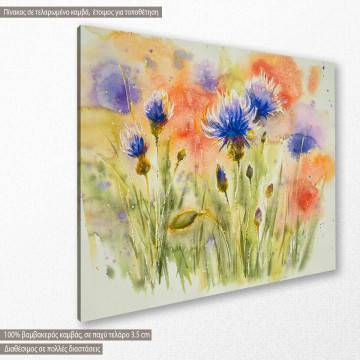 Canvas print Poppy flowers on summer meadow 2