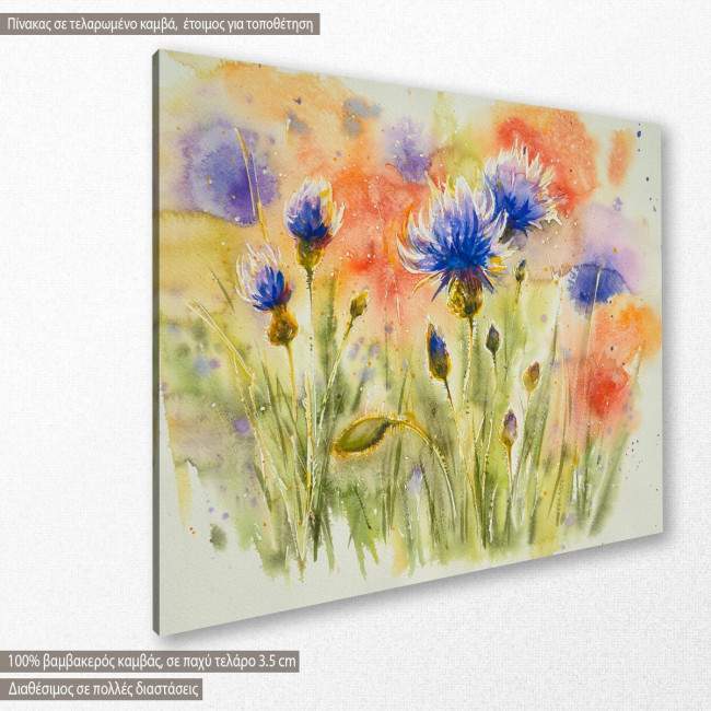 Canvas print Poppy flowers on summer meadow, side