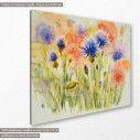 Canvas print Poppy flowers on summer meadow, side
