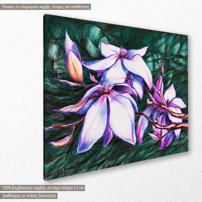 Magnolia colored, πίνακας σε καμβά, κοντινό