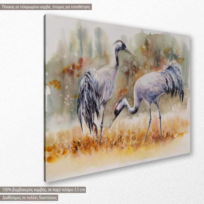 Canvas print  Pair of a crane birds, side