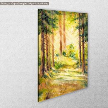 Canvas print Sunny forest path View 1 2