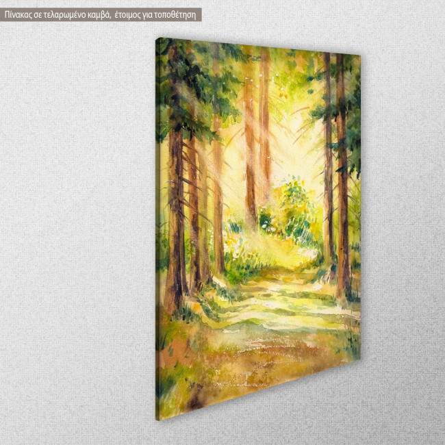 Canvas print Sunny forest path, side