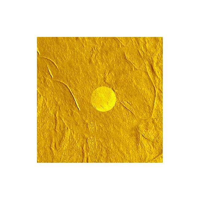 Room divider Rebirth