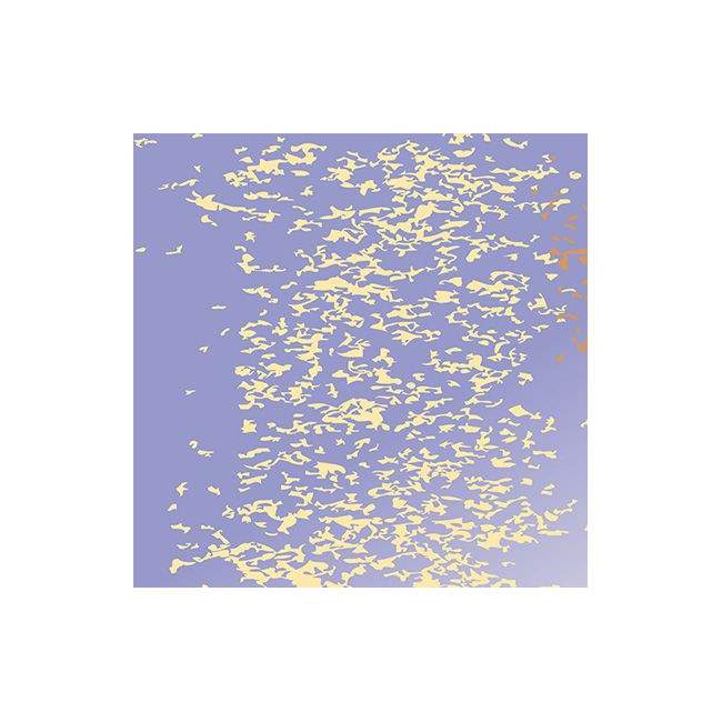 Room divider Desert rose