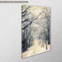 Canvas print  Footpath in a winter city park, side