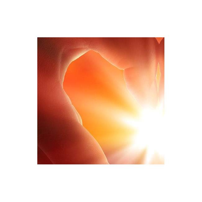 Παραβάν, Sunset in heart hands