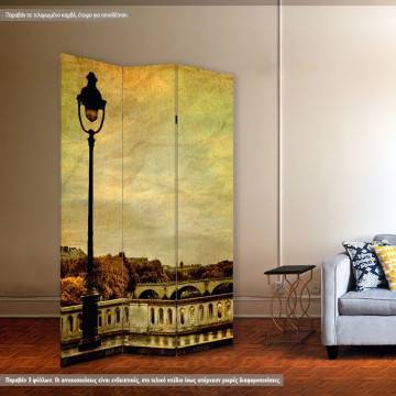 Room divider Over the Seine 2