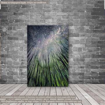 Canvas print Looking in the night sky