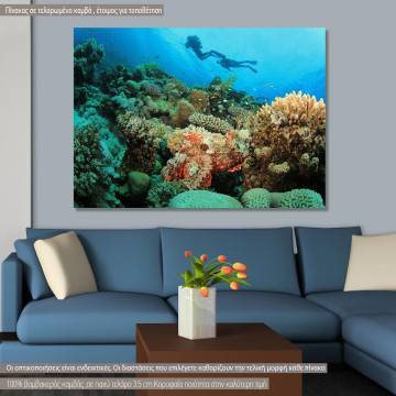 Πίνακας σε καμβά Coral reef, scorpionfish and scuba divers