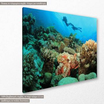 Canvas print Coral reef 2