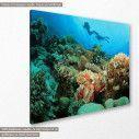Canvas print Coral reef, side