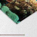 Canvas print Coral reef, detail