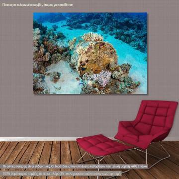 Canvas print Man made coral reef