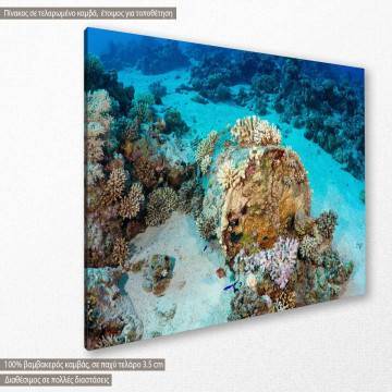 Canvas print Man made coral reef 2