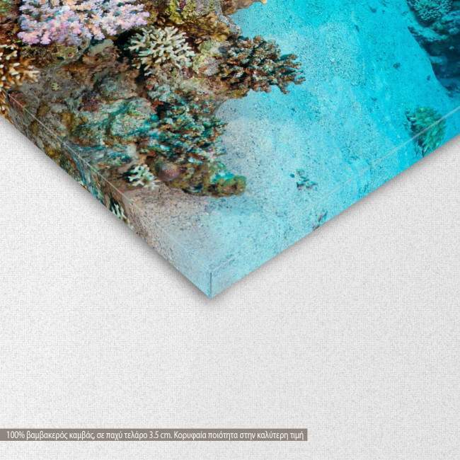 Canvas print Man made coral reef, detail