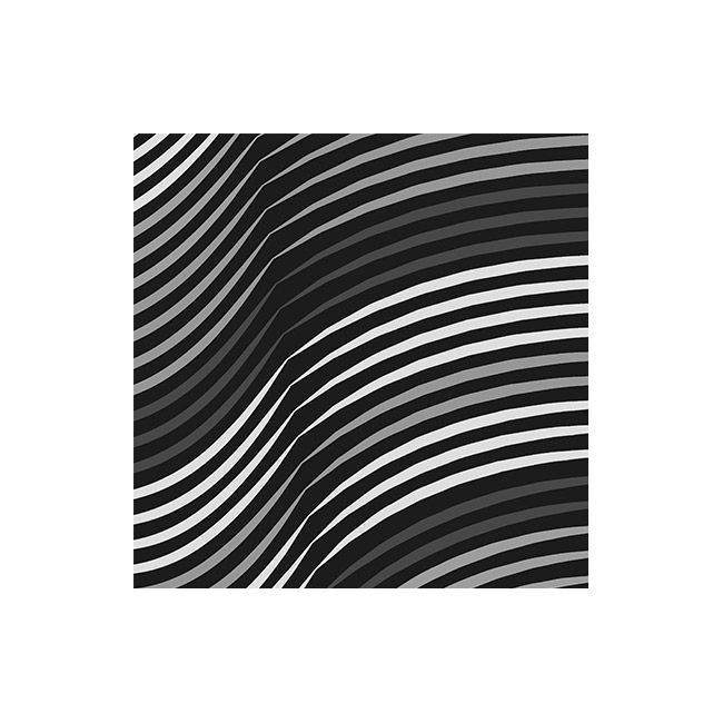 Room divider Flex lines