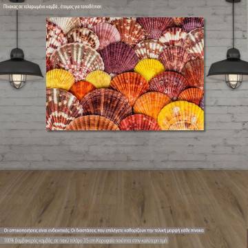 Canvas print Seashells and stones