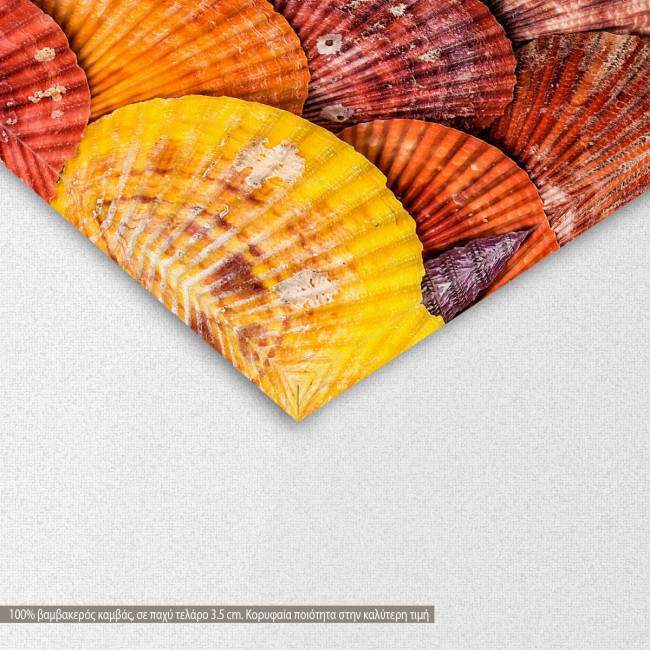 Seashells and stones, πίνακας σε καμβά, λεπτομέρεια