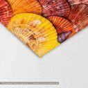 Canvas print Seashells and stones, detail