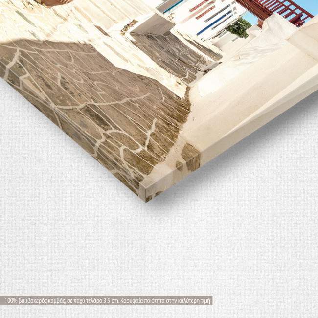 Canvas print  Traditional greek alley on Sifnos, detail