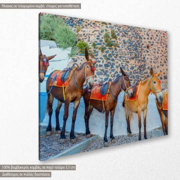 Πίνακας σε καμβά Σαντορίνη, Donkeys in Santorini 2