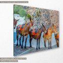 Donkeys in Santorini, πίνακας σε καμβά, κοντινό