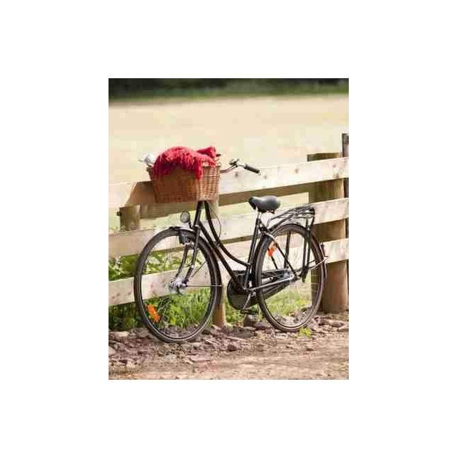 Wallpaper Bicycle on the fence