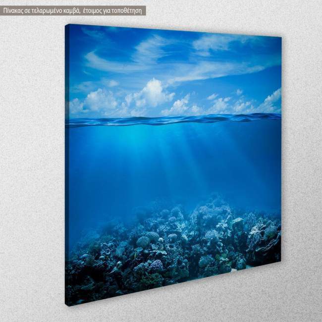 Πίνακας σε καμβά Βυθός, Underwater coral reef, κοντινό