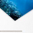 Canvas print Sea bottom, Underwater coral reef, detail
