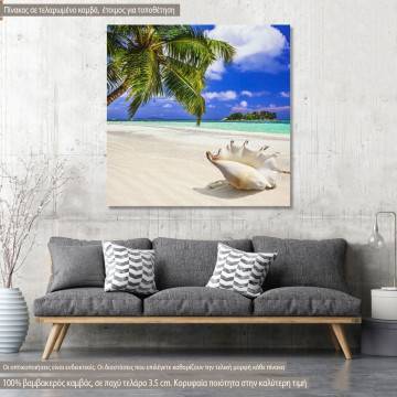 Πίνακας σε καμβά Κοχύλια, Seashell in tropical island