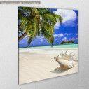 Canvas print Seashell in tropical island, side