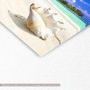 Canvas print Seashell in tropical island, detail