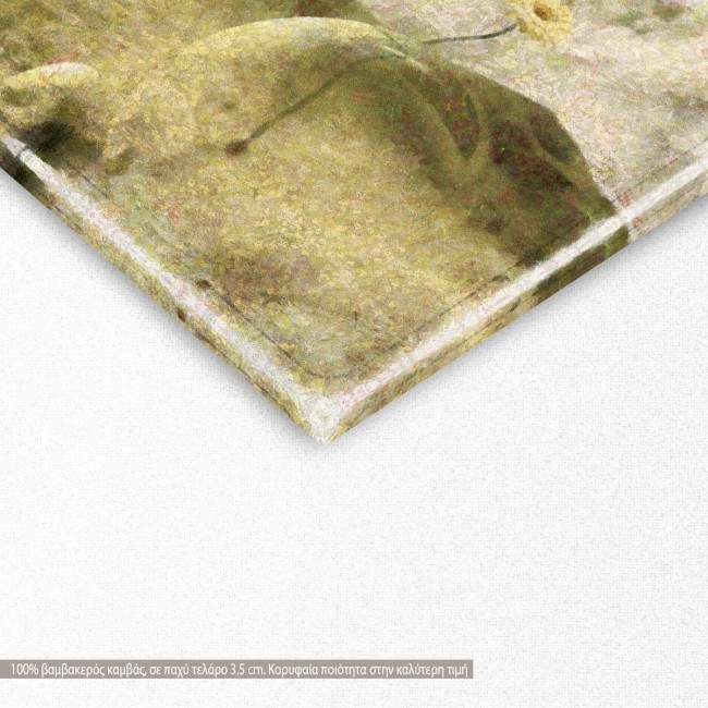 Πίνακας σε καμβά Έρημος, Desert color, λεπτομέρεια