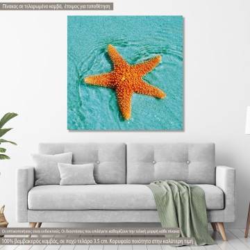 Canvas print Starfish sunbathing