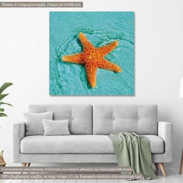 Πίνακας σε καμβά Αστερίας, Starfish sunbathing