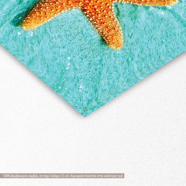 Πίνακας σε καμβά Αστερίας, Starfish sunbathing, λεπτομέρεια
