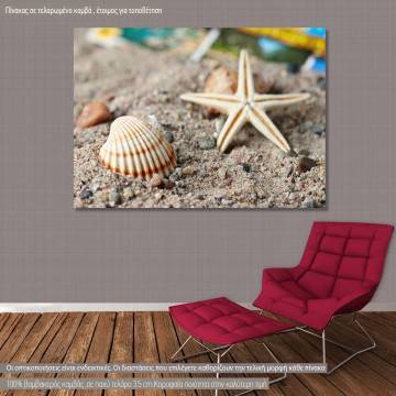 Canvas print  Starfish and snail shell