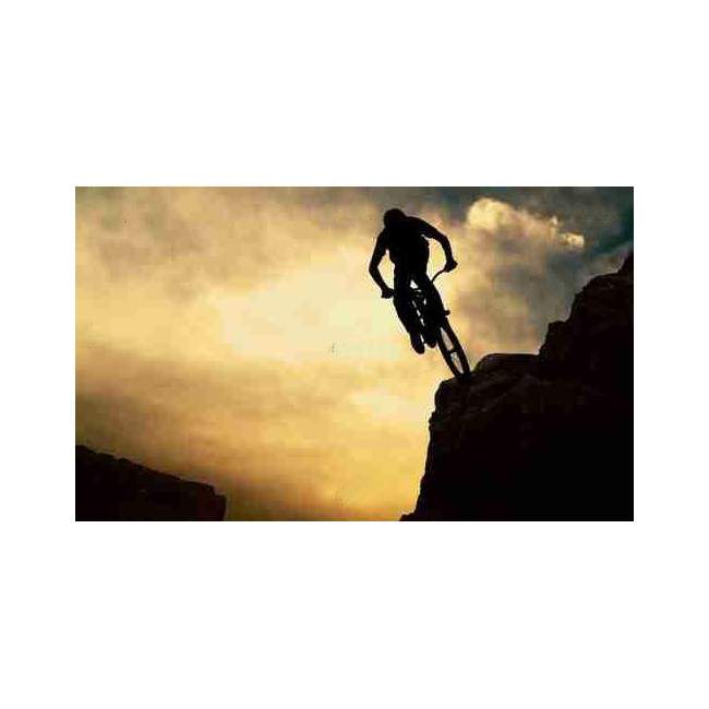 Wallpaper Mountain biker