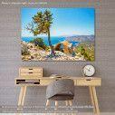 Canvas print  Historic ruin and pine tree, Rhodes