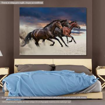 Πίνακας σε καμβά Galloping horses