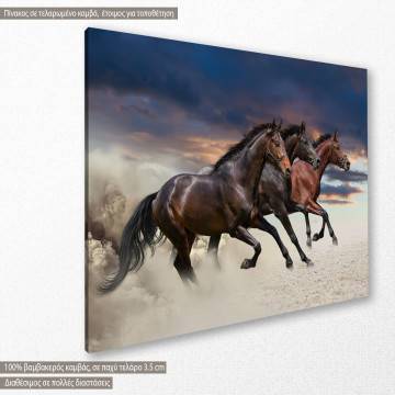 Πίνακας σε καμβά Galloping horses 2