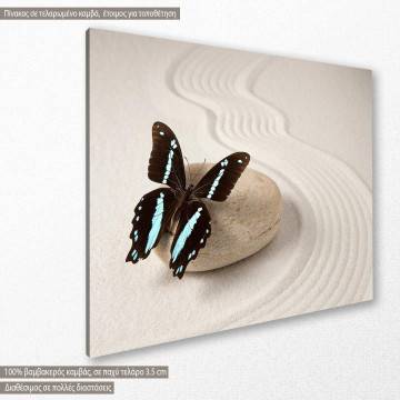 Canvas print butterfly Zen butterfly I Framed canvas View 1 2