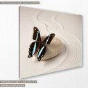 Canvas print butterfly, Zen butterfly I, side